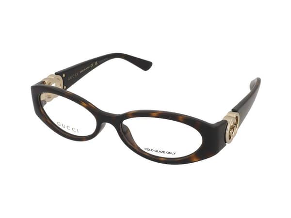 Glasses Gucci GG1693O 002