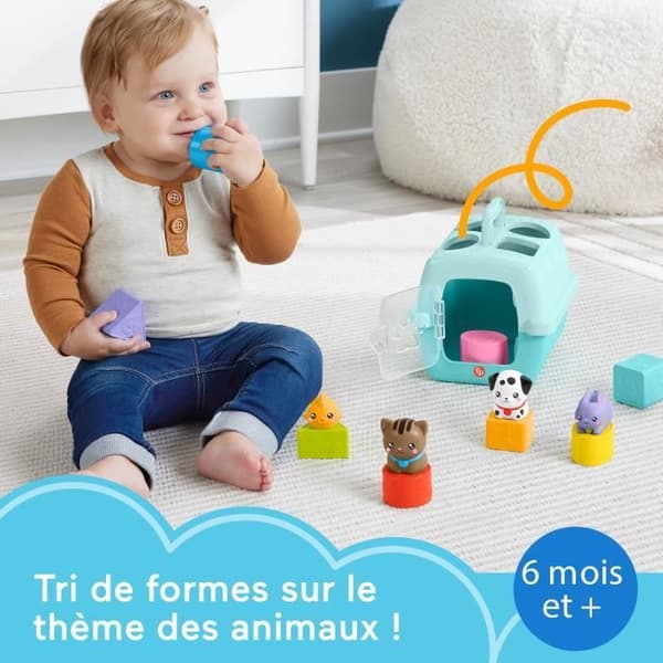 Fisher-Price-Sorter Animal Transport Crate-Sorter 8 block HTW93