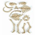 Miniatyrbild 5 av 6: Vetenskapsspel Clementoni Archéo Ludic Mammoth Fluorescerande