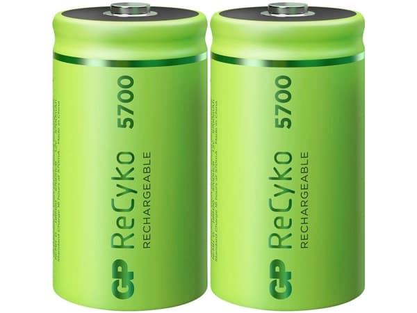 Fastlege ReCyko - Bakterier