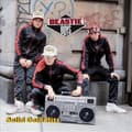 Miniatyrbillede 1 af 2: Beastie Boys - Solid Gold Hits (2LP) (LP)