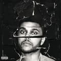 Miniatyrbilde 1 av 2: The Weeknd - Beauty Behind The Madness (2Lp) US IMPOR (LP)
