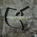 Pikkukuva 2 / 2: Wu-Tang Clan - Legend Of The Wu-Tang: Wu-Tang Clan's Greatest Hits (LP)