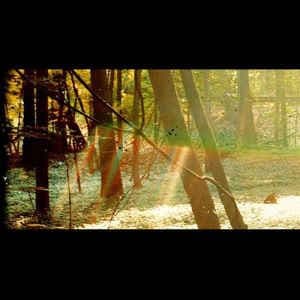 Childish Gambino - Camp - US IMPORT (LP)