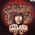 Miniatyrbillede 1 af 2: Erykah Badu - New Amerykah Part One -US IMPORT (LP)
