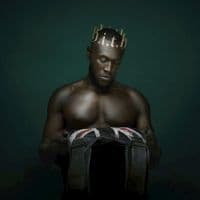 Stormzy - Heavy Is The Head (Vinyl Ltd.) (LP)