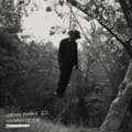 Miniatyrbillede 2 af 2: Younge Adrian - The American Negro (LP)