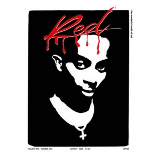 Playboi Carti - Whole Lotta Red (2Lp) US IMPORT (LP)