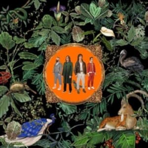 DON BROCO - AMAZING THINGS (VINYL) (LP)