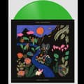 Miniatyrbillede 1 af 3: José González - Local Valley (Green Translucent Vin (LP)