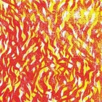 The Bug - Fire (LP)