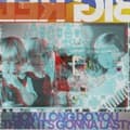 Miniatyrbild 1 av 2: Big Red Machine - How Long Do You Think It's Gonna La (LP)