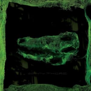 Avey Tare - Down There (LP)