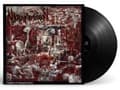 Miniatyrbild 1 av 2: Nekromantheon - Visions Of Trismegistos (Vinyl) (LP)