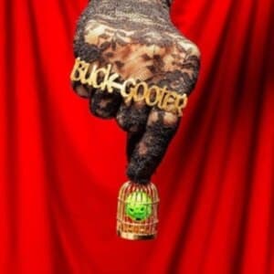 Buck Gooter - Head In A Bird Cage (LP)
