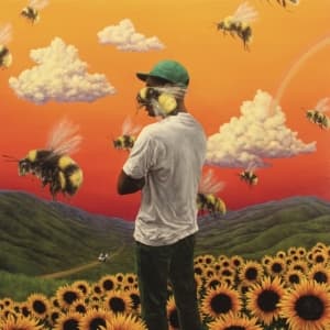 Tyler The Creator - Flower Boy (LP)