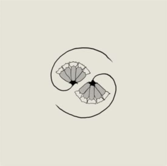 Godspeed You! Black Emperor - G_D's Pee At State's End! (Lp+10'') (LP)