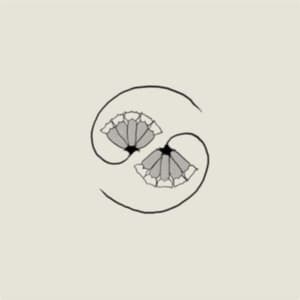 Godspeed You! Black Emperor - G_D's Pee At State's End! (Lp+10'') (LP)