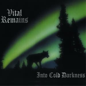 Vital Remains - Into Cold Darkness (LP)