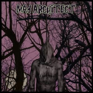 Mad Architect - Hang High (LP)