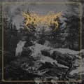 Miniatyrbillede 1 af 2: Dödsrit - Mortal Coil (Black Vinyl Lp) (LP)