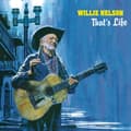 Pikkukuva 1 / 2: Nelson Willie - That's Life (LP)
