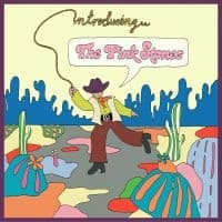 Pink Stones The - Introducing...The Pink Stones (Rand (LP)