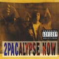 Miniatyrbild 1 av 2: 2Pac - 2Pacalypse Now (2Lp) (LP)