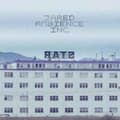 Pikkukuva 1 / 2: Jared Ambience Inc. - Rats (LP)