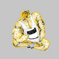 Miniatyrbilde 1 av 2: Tiger Lou - Every Battle Alike (Vinylsingle)