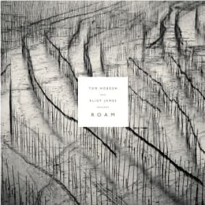 Hobden Tom And Eliot James - Present: Roam (LP)