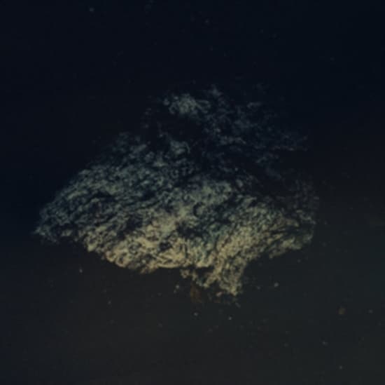 Multicast Dynamics - Lost World (LP)