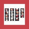 Miniatyrbillede 2 af 2: Cradle - Laughing In My Sleep (LP)