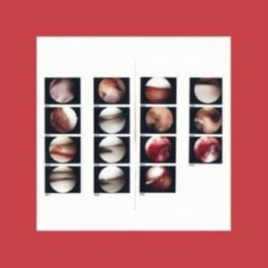 Cradle - Laughing In My Sleep (LP)