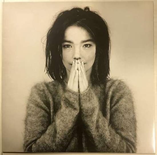 Bjork - Debut (LP)