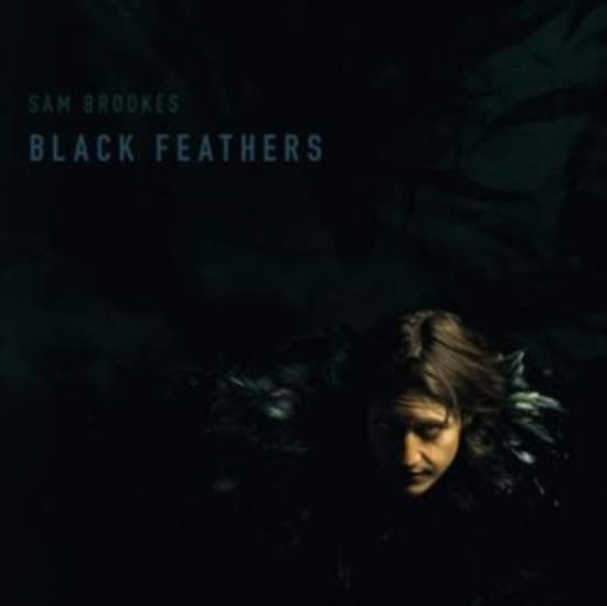 Brookes Sam - Black Feather (LP)