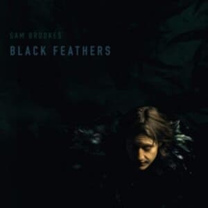 Brookes Sam - Black Feather (LP)