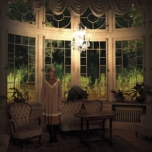 Annamy - Woodpecker (LP)