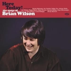 Various Artists - Here Today! Songs Of Brian Wilson (LP)