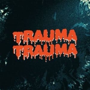 Trauma Trauma - Trauma Trauma (LP)