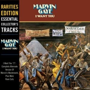 Marvin Gaye - I Want You (Vinyl) (LP)