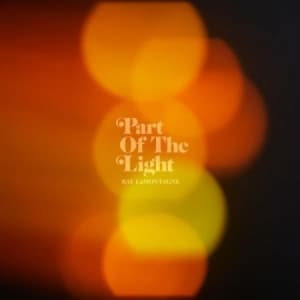 LaMontagne Ray - Part Of The Light (LP)