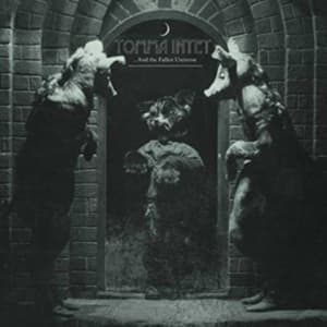 Tomma Intet - ...And The Fallen Universe Lp (LP)