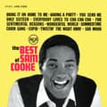 Miniatyrbillede 2 af 2: Cooke Sam - The Best Of Sam Cooke (LP)