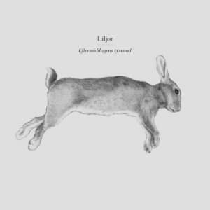 Liljor - Eftermiddagens Tystnad (LP)