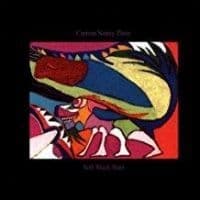 Current 93 - Soft Black Stars (2 Lp) (LP)