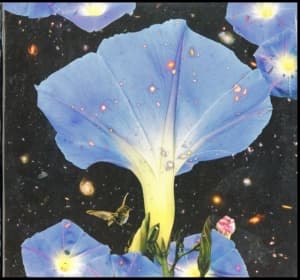 Louise Sarah - Nighttime Birds And Morning Stars (LP)