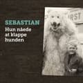 Miniatyrbillede 2 af 2: Sebastian - Hun Nåede At Klappe Hunden (LP)