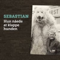Sebastian - Hun Nåede At Klappe Hunden (LP)