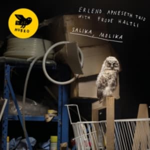Apneseth Erlend (Trio) - Salika, Molika (LP)